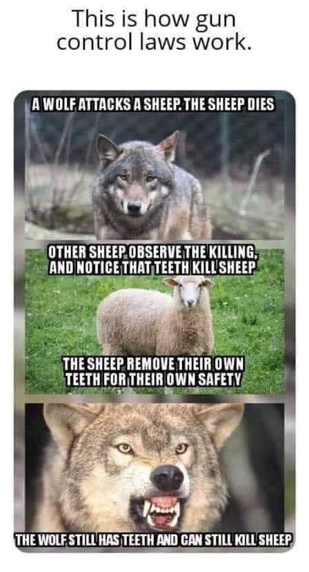 Sheep gun control.jpg