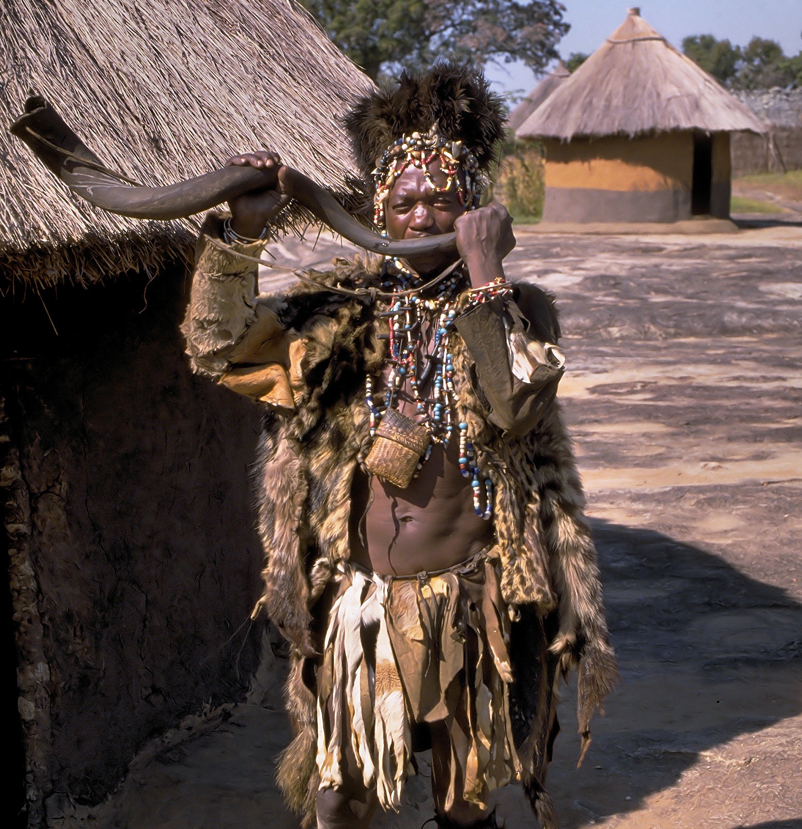 yellow-fever-shot-required-when-coming-from-zambia-africahunting