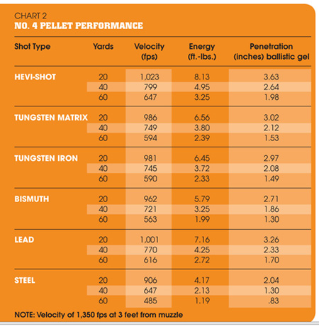 shot_performance_chart.jpg