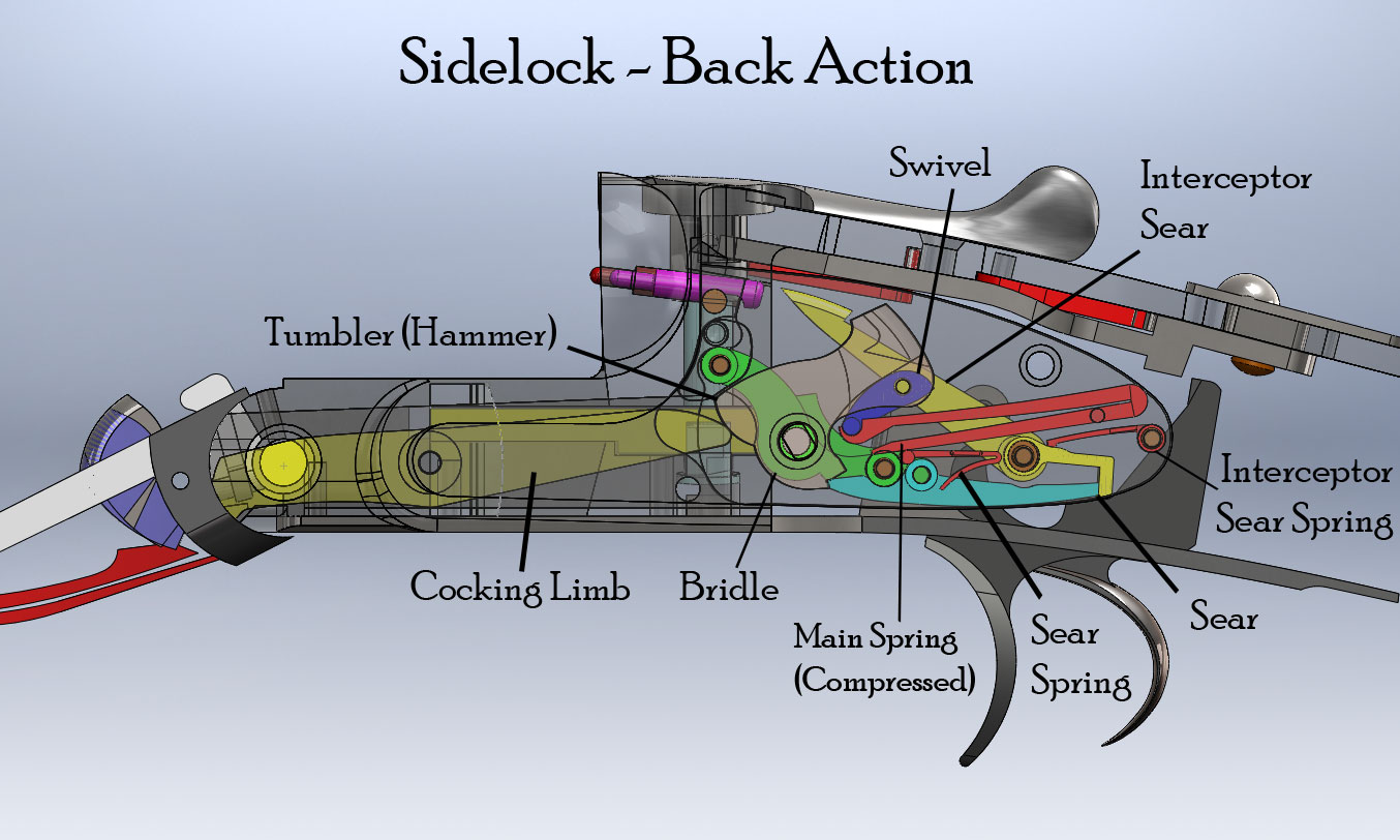 sidelock-cad-for-gazette.jpg