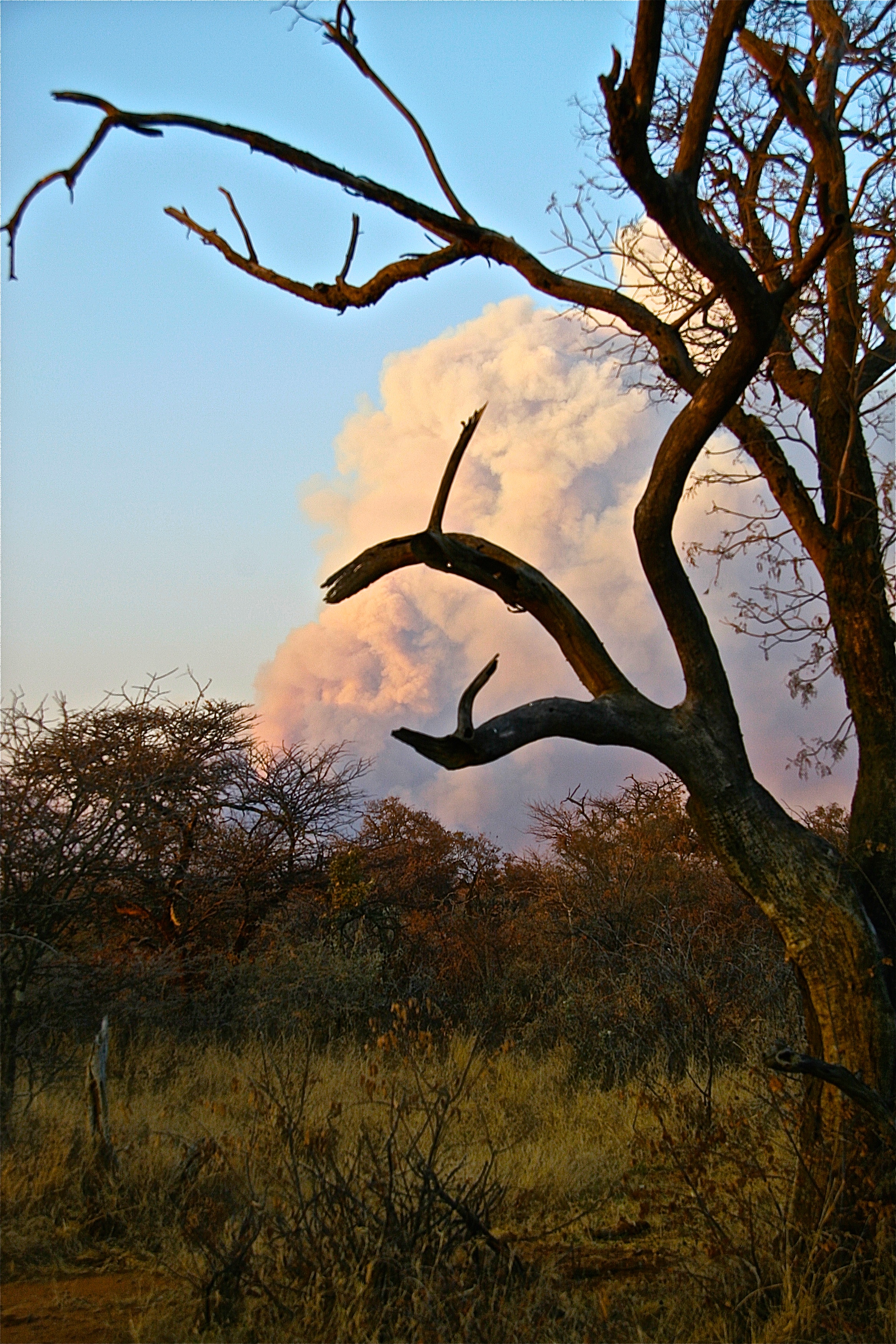 Smoke Plume 2.jpg