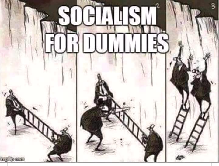 socialism_dummies.jpg