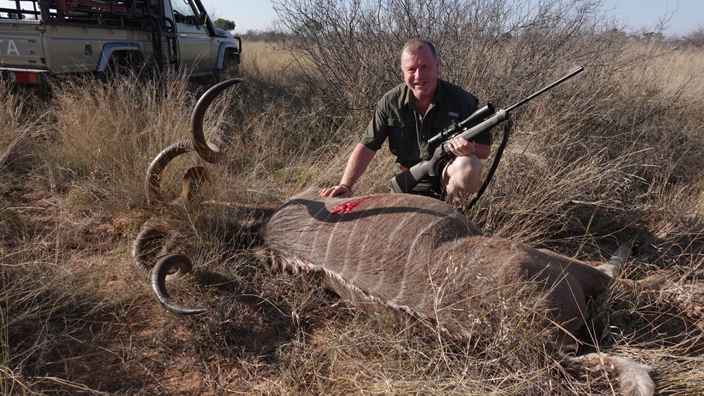 Southern Greater Kudu.jpg