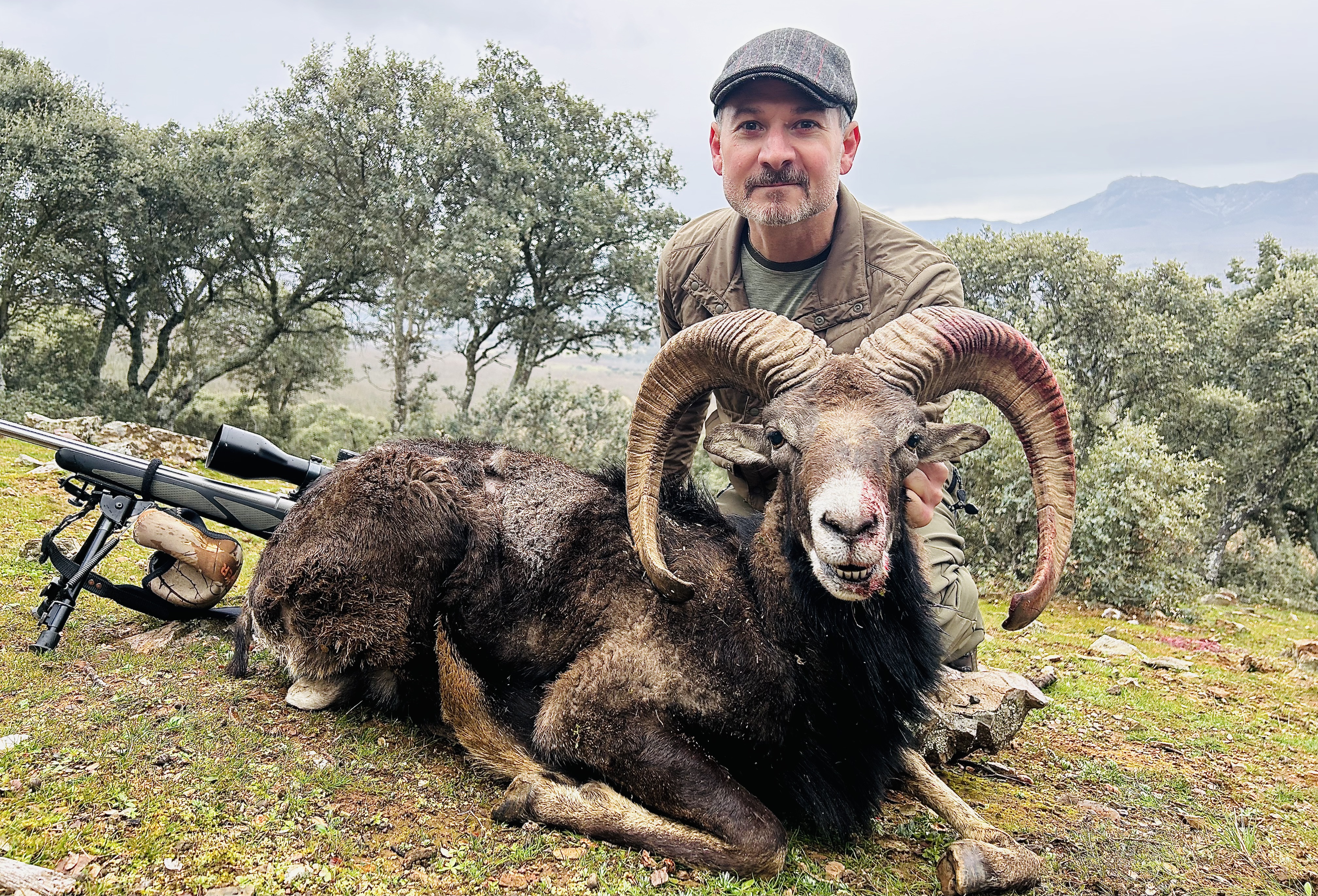 Spain - Mouflon.jpeg