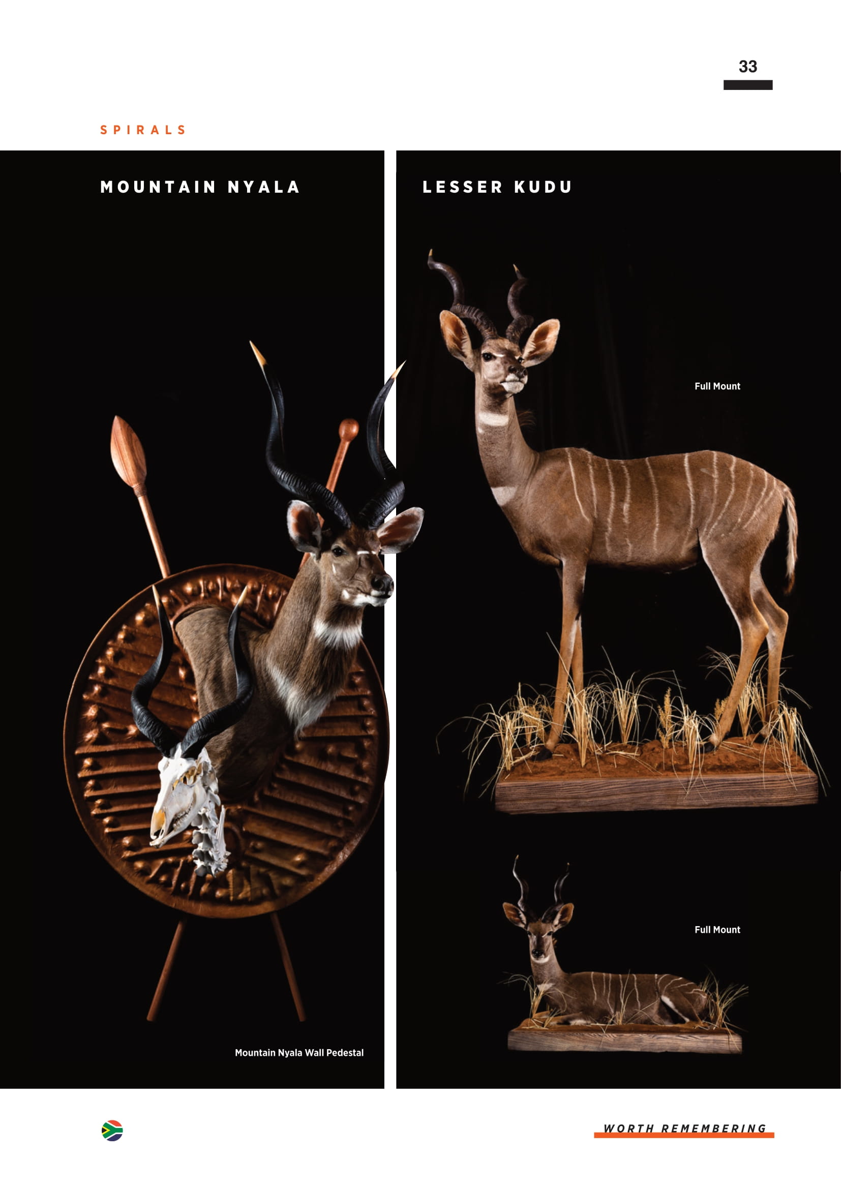 splitting-image-taxidermy-035.jpg