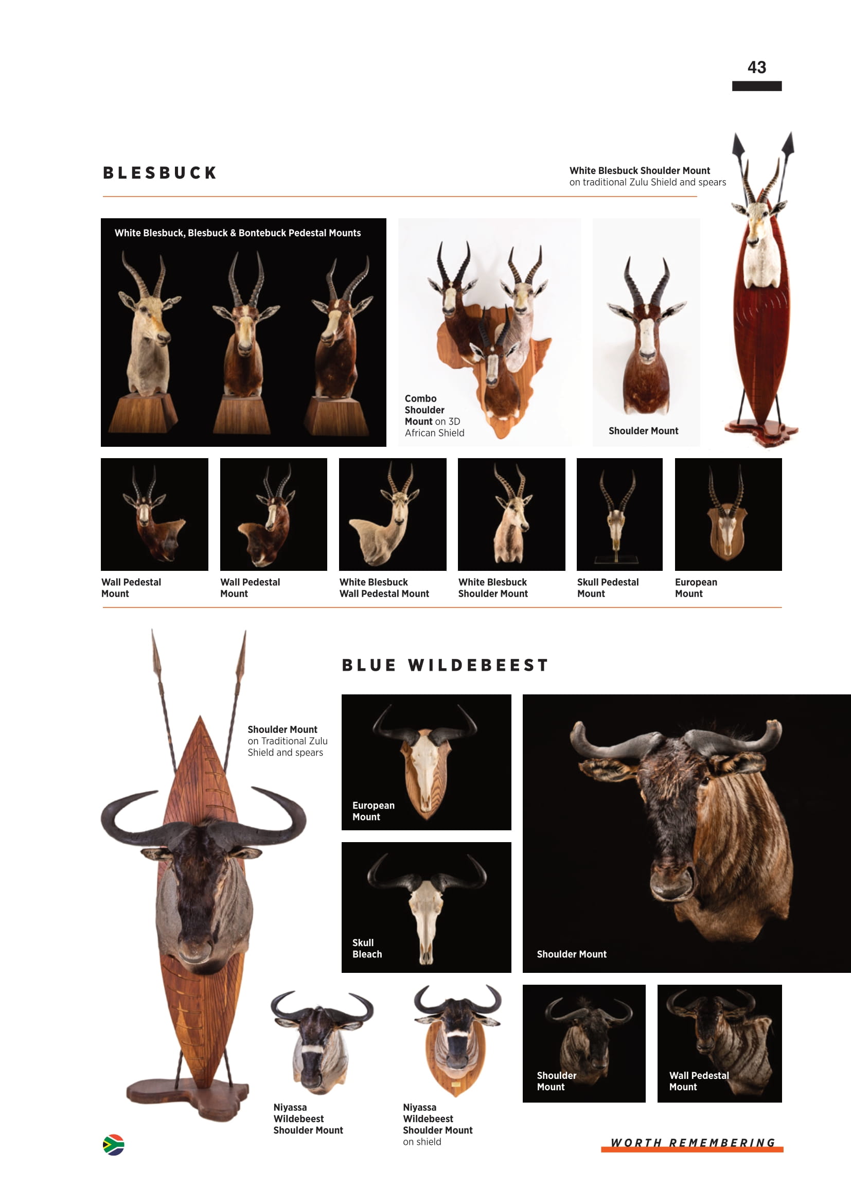 splitting-image-taxidermy-045.jpg