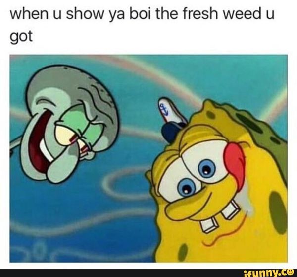 spongebob-weed-memes-1.jpg