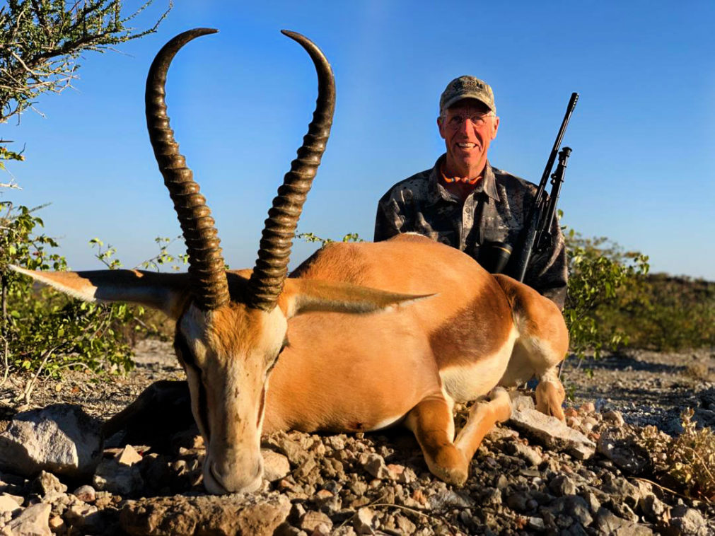 Springbok-1011x758.jpg