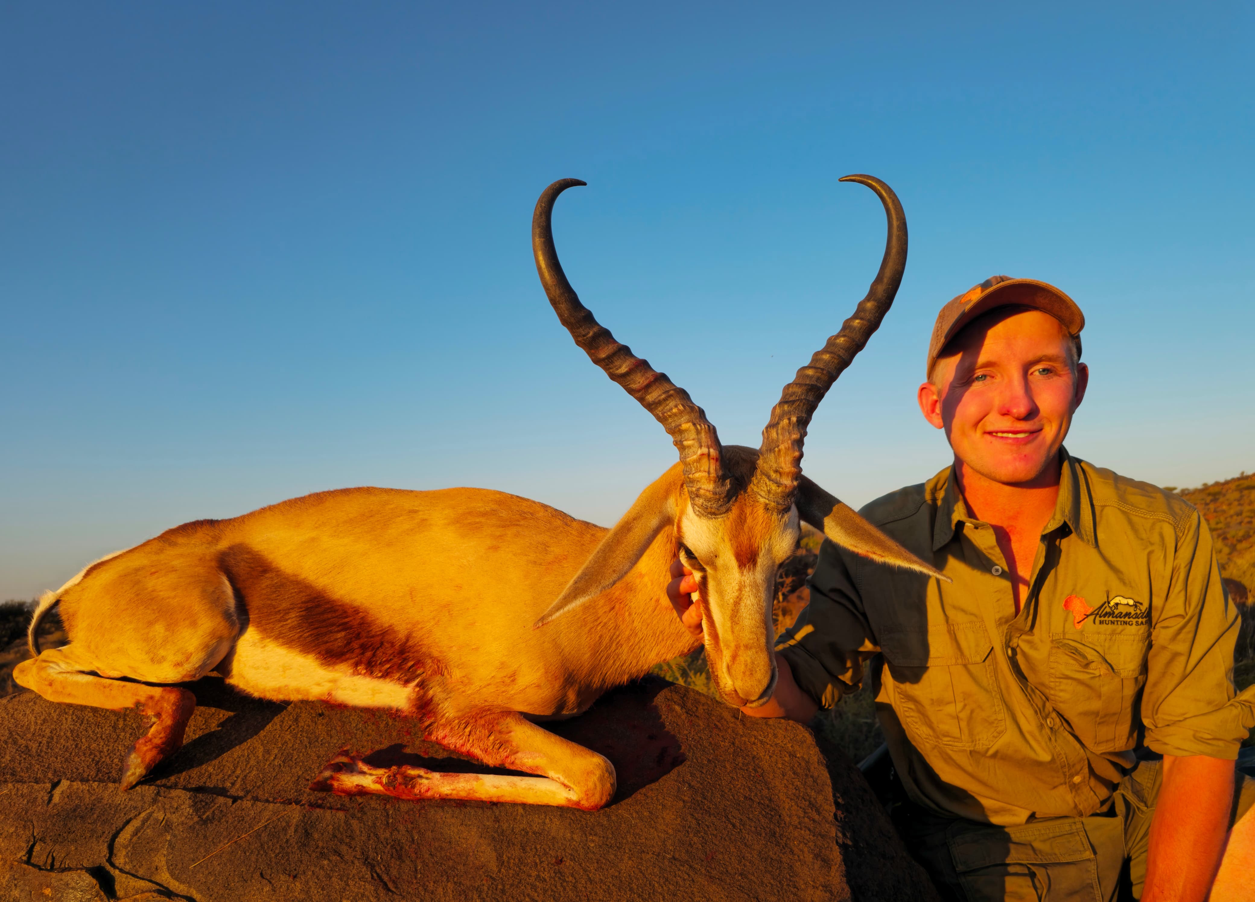 springbok clean 2.jpg