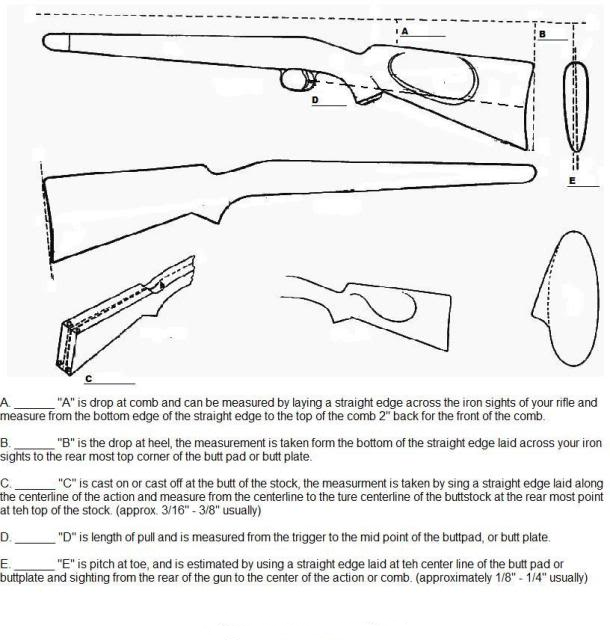 StockMeasurementsWorksheet-1.png