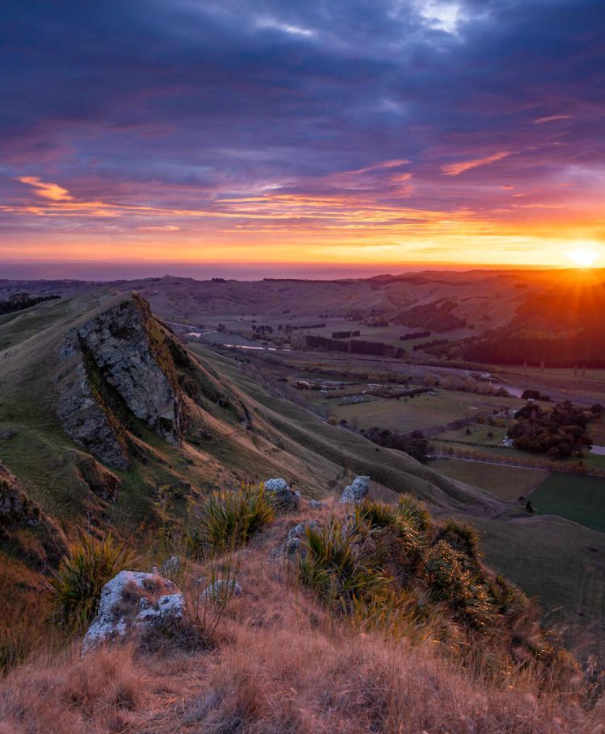 Te Mata peak.png