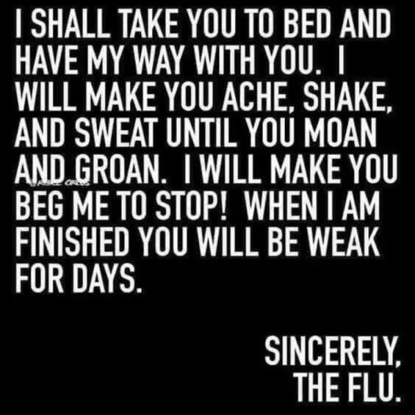 The flu.jpg