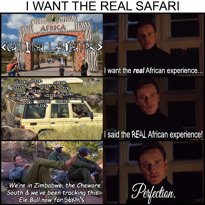 TheRealSafari.png