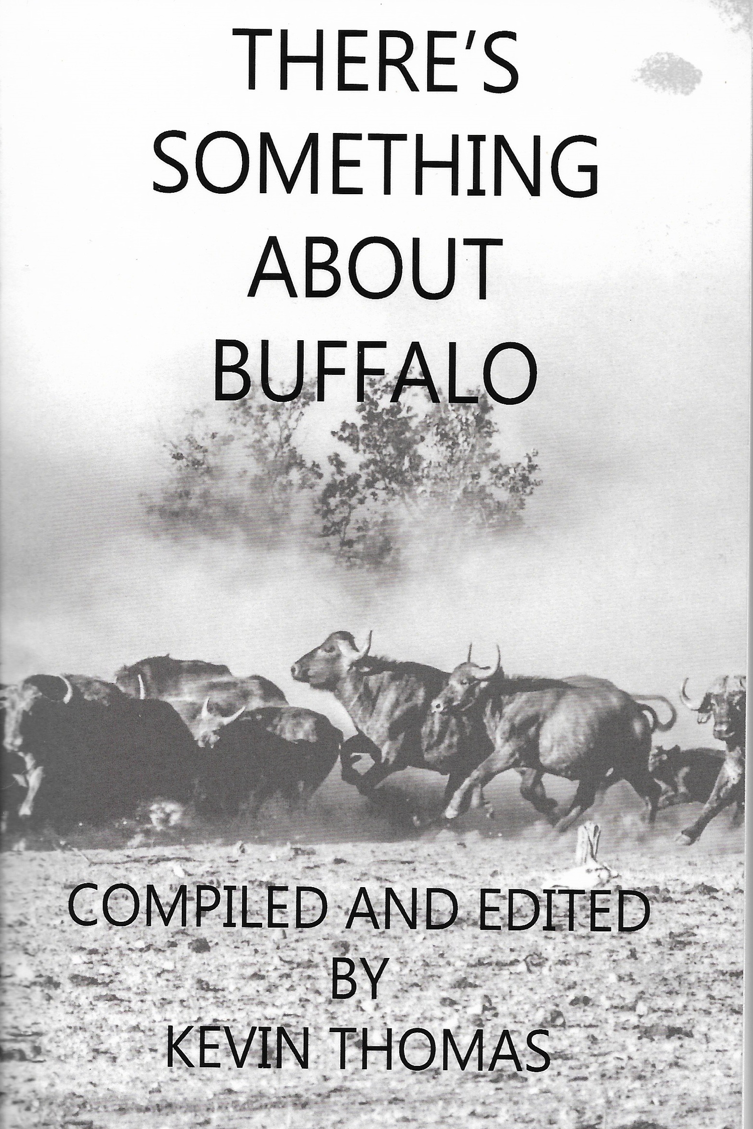 theres-something-about-buffalo-front.jpg