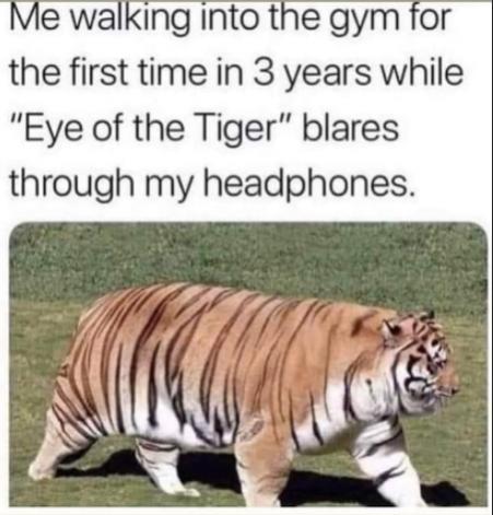 tiger.jpg