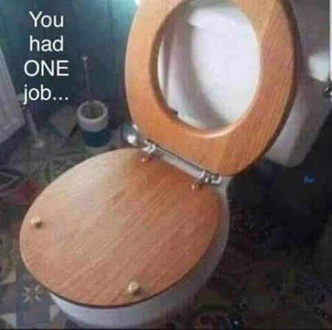 toiletseat.jpeg