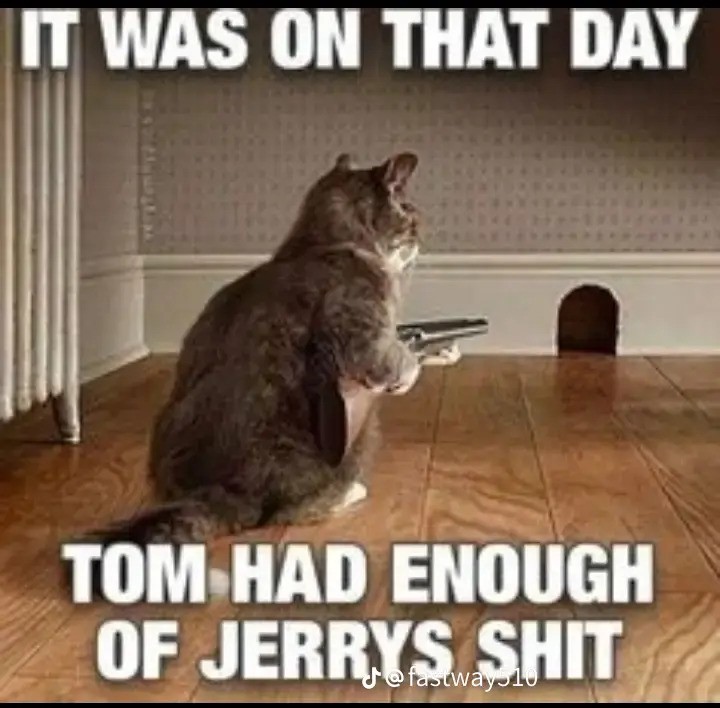 tomnjerry.jpg