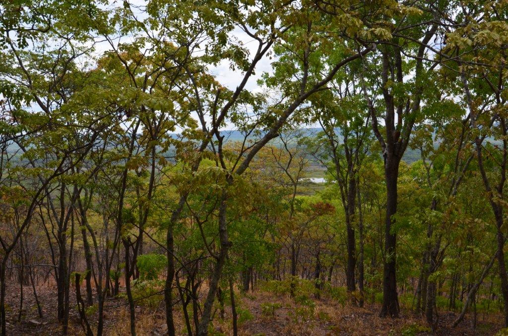 Tondwa - Lake Kako.jpg