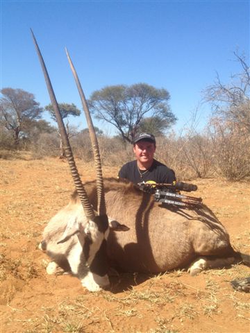 Ty\'s Limcroma Gemsbok.JPG