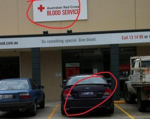 Vampire BLOOD services.jpg