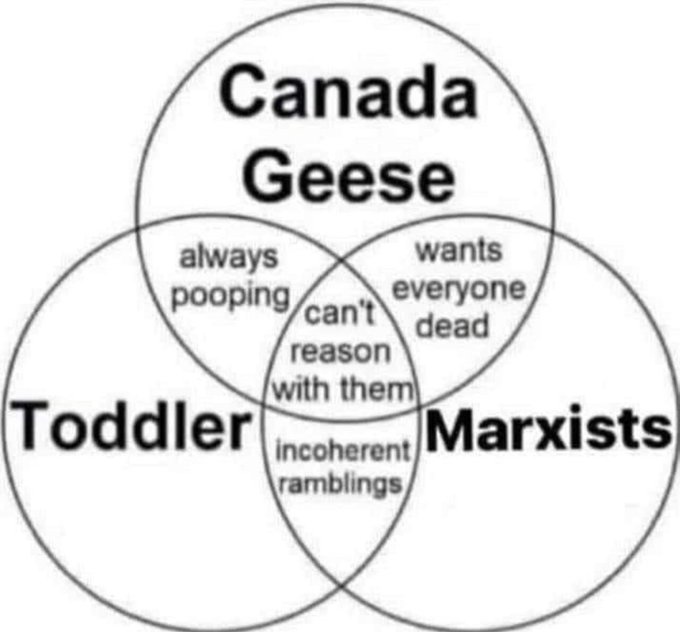 VennDiagram.jpg