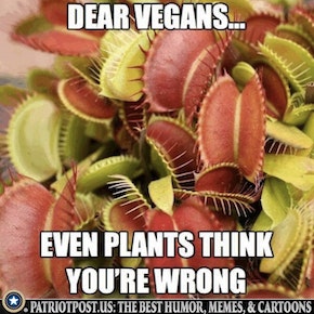 venus flytrap meme.jpeg