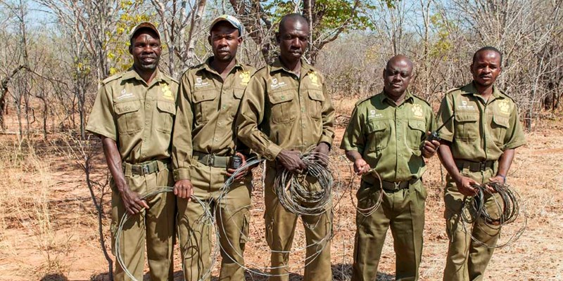 Vic-Falls-anti-poaching-unit-puts-poachers-behind-bars-800x400.jpg