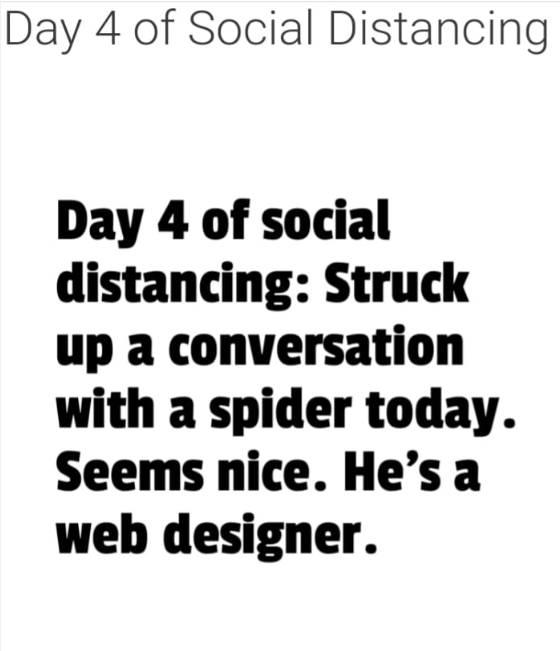 web.png