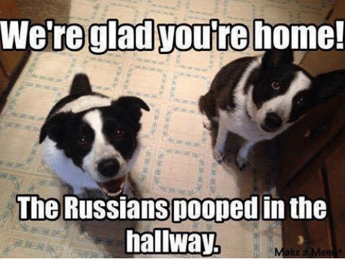 were-gladyoure-home-the-russians-pooped-in-the-hallway-9457745.png