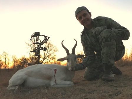 White Springbok.JPG