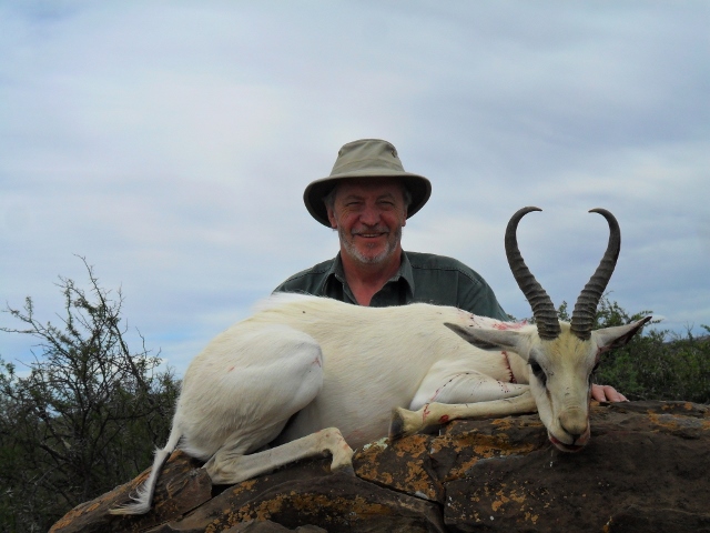 White Springbuck (640x480).jpg