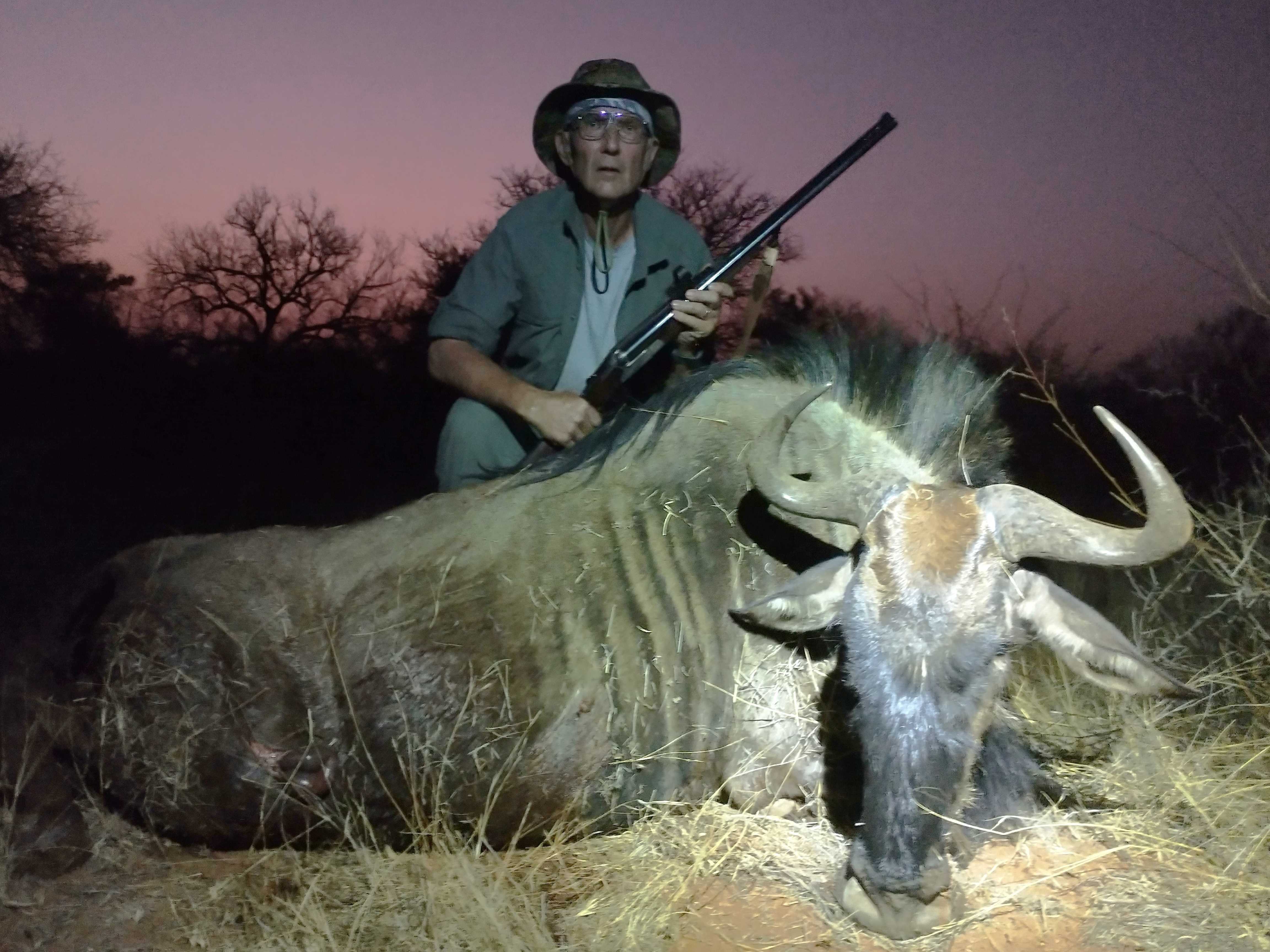 Wildebeest atNight - 1meg.jpg