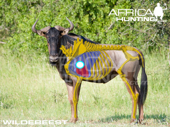 wildebeest.jpg