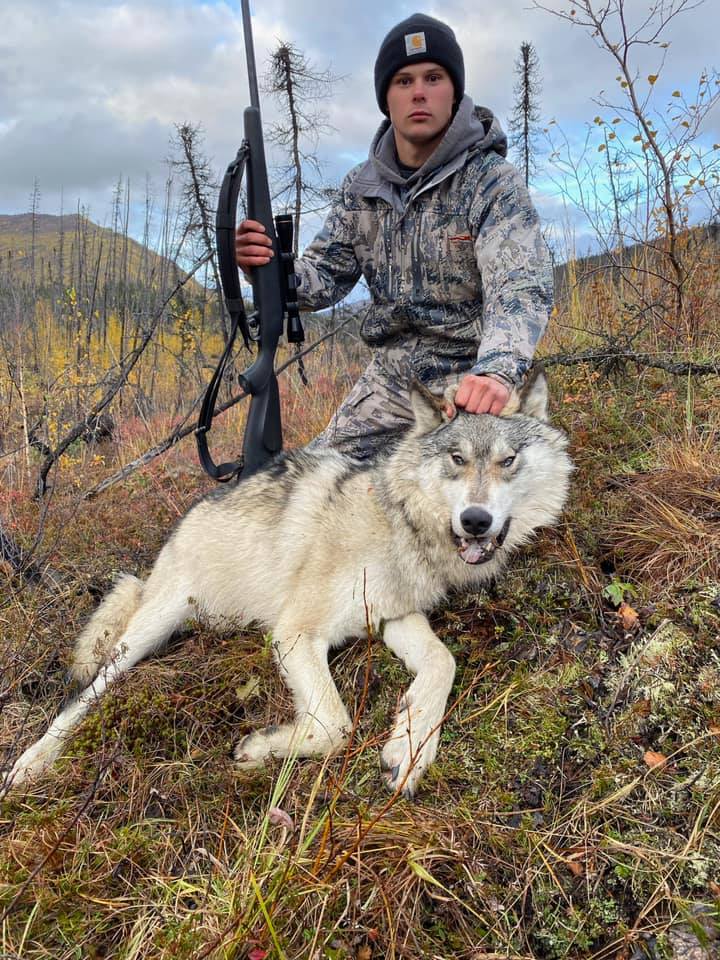 USA: Alaska Wolf Hunt | AfricaHunting.com