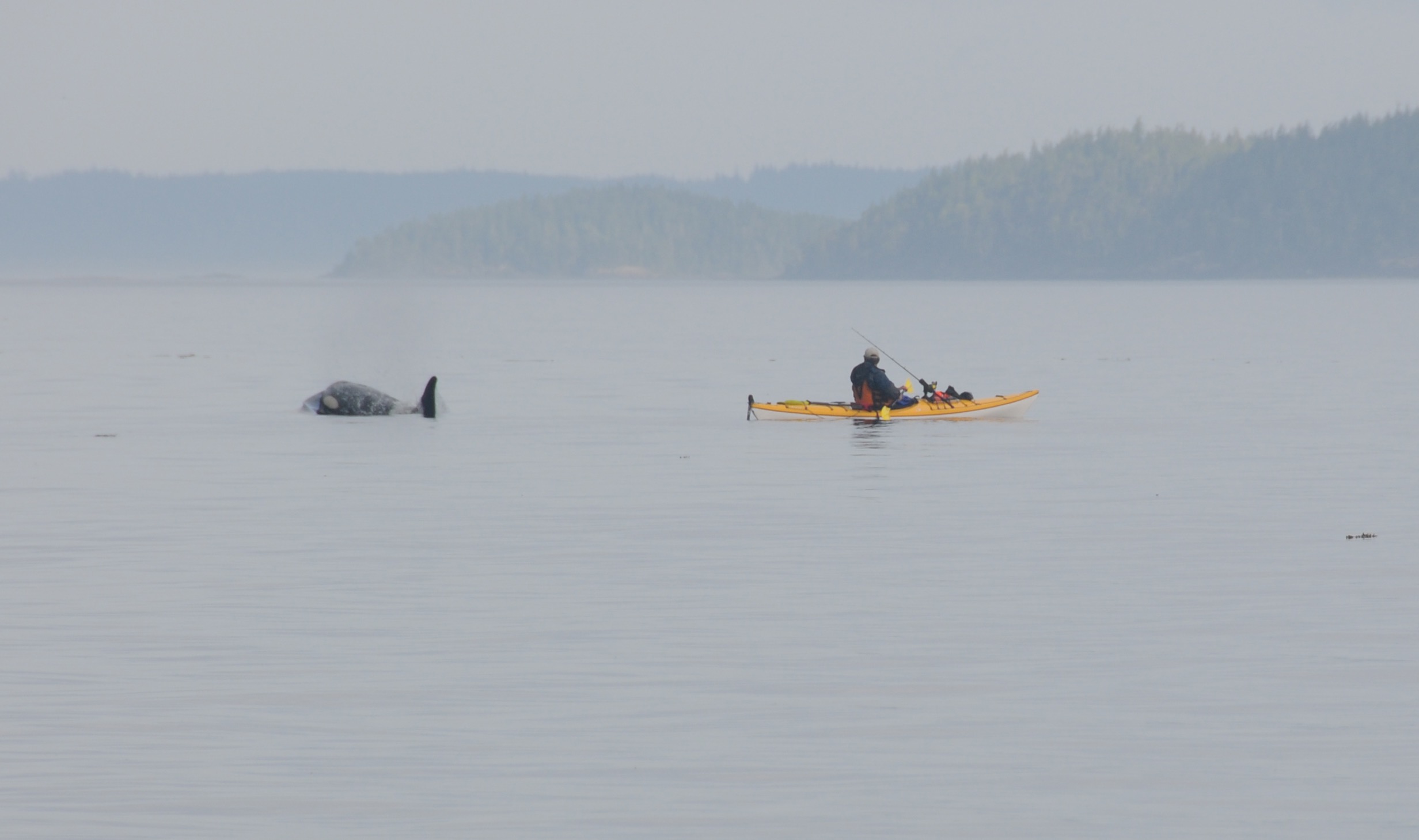 WPB ORCA FISHING.jpg