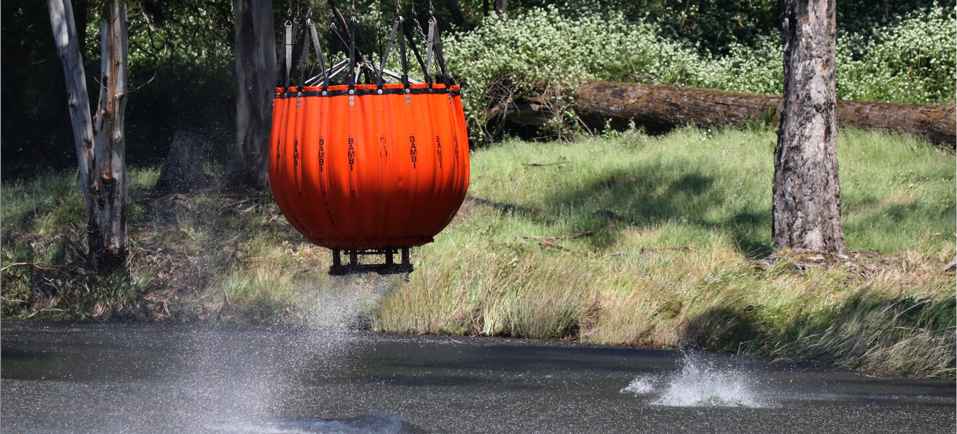 yabby pot platy dam 14.jpg