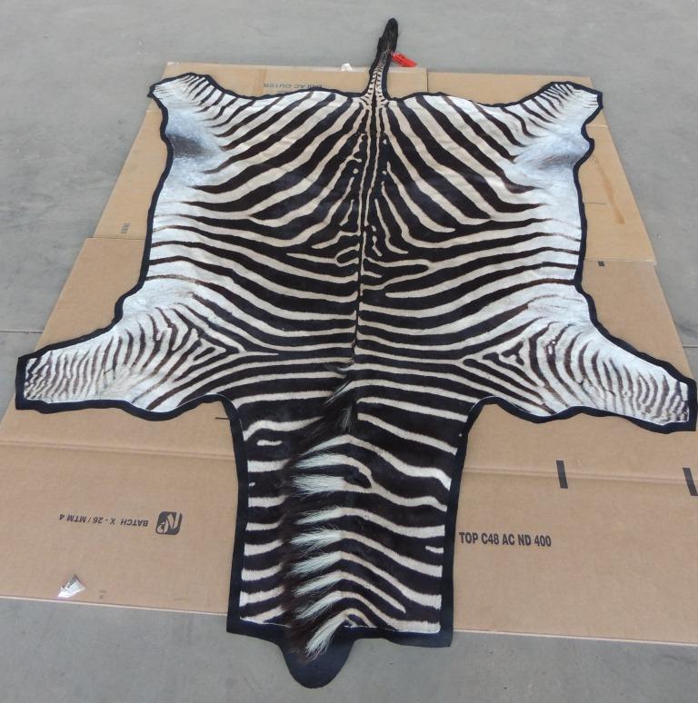 Zebra Fur Tan on Felt.jpeg