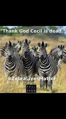 Zebra lives Matter.jpg