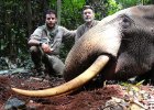 hunting-forest-elephant-01.jpg