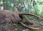 hunting-forest-elephant-02.jpg