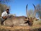 levergun_omar_waterbuck.jpg