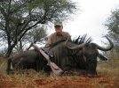 Wildebeest28tommer.jpg