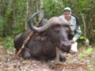 87year old Allan Broderson and his buffalo bull.JPG