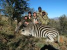 Deb's Zebra.JPG