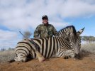 dylon-zebra.jpg
