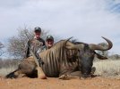 blue wildebeest.jpg