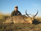 reedbuck.jpg