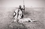 old image of a Maasai man with speared lion at the turn of the century in British East Africa.jpg