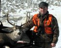 07 5x5 mule deer.jpg