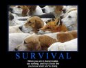 survival-motivation-poster1.jpg